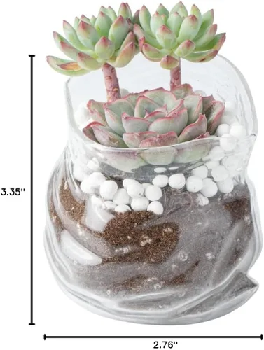 Miniatura 7 de Restaurantware Tazón de Vidrio Transparente de 8 oz Borde Ondulado Tazón de Bolsa Sin Cremallera Plato de Servir Creativo Apto para Lavavajillas
