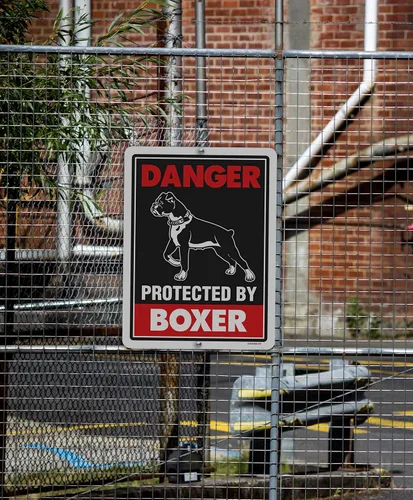 Miniatura 3 de Honey Dew Gifts, Cartel de metal con texto en inglés «Beware of Dog» («Beware of Dog») de «Danger Protected Boxer» («Beware of Dog») de 9 x 12