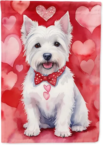 Miniatura 47 de Caroline's Treasures DAC5292CHF - Bandera de Border Collie My Valentine House para porche, grande, con manga para porche, para colgar en la pared