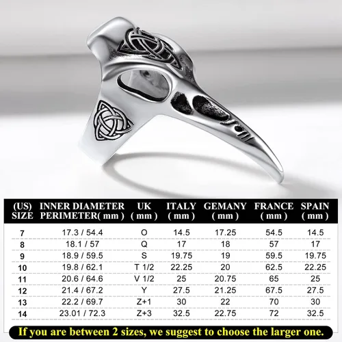Miniatura 4 de Richsteel Anillo de acero inoxidable con calavera de cuervo vikingo vikingo para hombres y mujeres, joyería gótica de protección nórdica