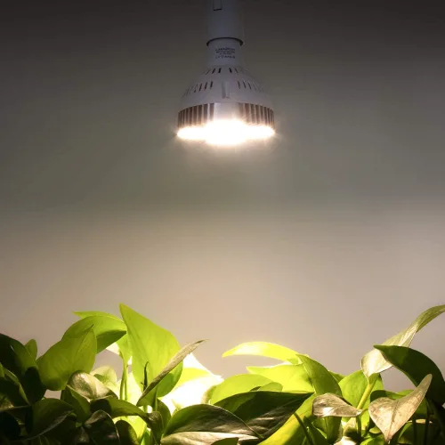 Miniatura 7 de CANAGROW - Luz LED de cultivo de espectro completo de 35 W para plantas de interior, lámparas de cultivo para invernaderos hidropónicos, plantas