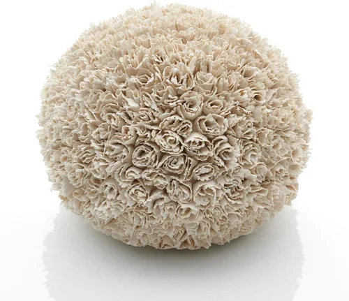 Miniatura 4 de SIO-2 Aneto - Arcilla de porcelana blanca de alto fuego, 11 libras (cono 6-8) arcilla de cerámica natural para modelado de ruedas y construcción
