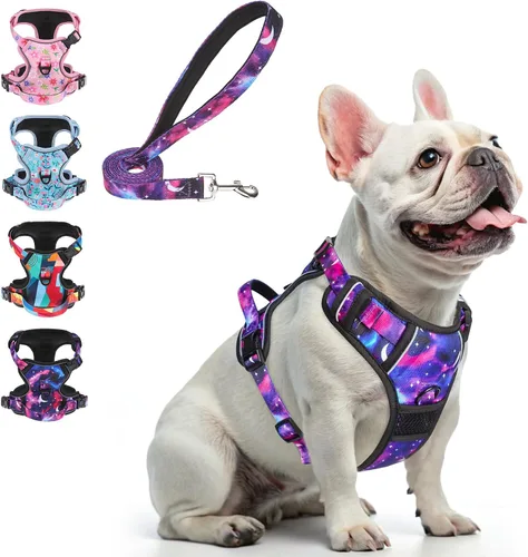 Miniatura 34 de BEAUTYZOO Arnés para perro sin tirones pequeño, juego de arnés y correa ajustable para perro - Fácil de usar con 3 hebillas/mango de control, arnés