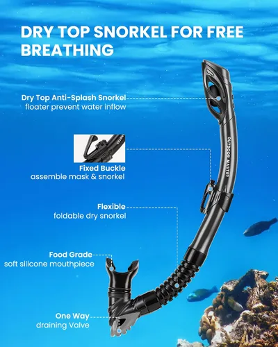 Miniatura 4 de OutdoorMaster Mobula Equipo de esnórquel para adultos, aletas de máscara con vista panorámica, antivaho y parte superior seca, equipo de buceo