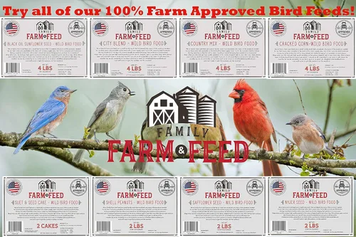 Miniatura 8 de Cuatro estaciones Mezcla de campo Alimento clásico para aves silvestres Pájaro cantor del patio trasero 4 libras Mezcla (Country Mix)