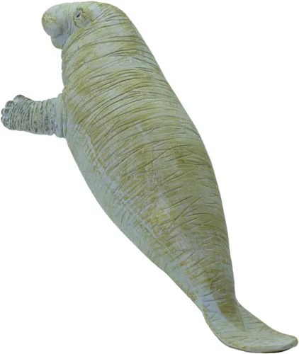 Miniatura 5 de Safari Ltd. Figura de Manatee – Figura detallada de plástico de 6 pulgadas – Divertido juguete educativo para niños, niñas y niños a partir de 3 años