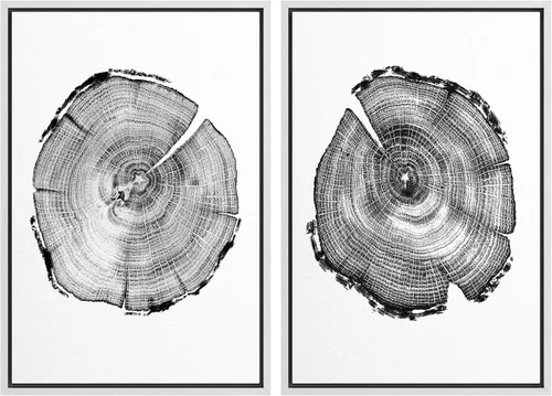 Miniatura 18 de SIGNWIN Lienzo enmarcado para pared, juego de arte con anillos de árbol de bosque grunge en blanco y negro, ilustraciones de naturaleza silvestre