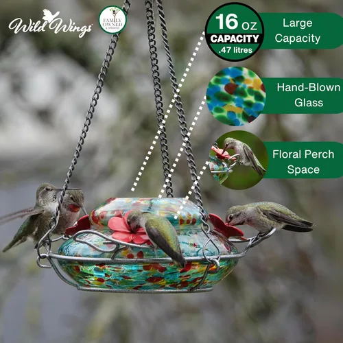 Miniatura 4 de Wild Wings WWGHF1 - Comedero para colibrí, color azul