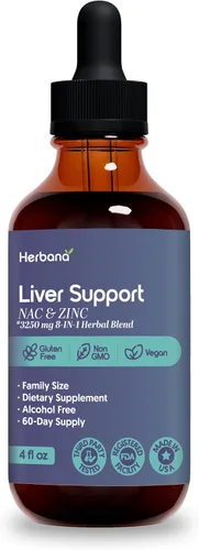 Extracto líquido de ginseng rojo asiático y ginseng americano – Ginseng para energía, rendimiento cognitivo y enfoque – Tintura líquida para el