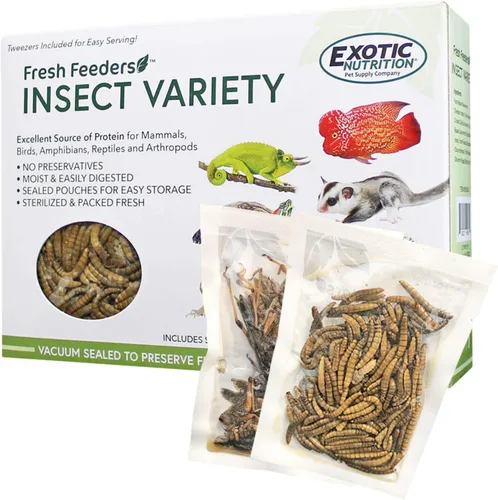 Miniatura 6 de Fresh Feeders (Superworms) - Golosinas naturales de insectos con alto contenido de proteínas, bolsas de una sola porción - pollos, aves silvestres