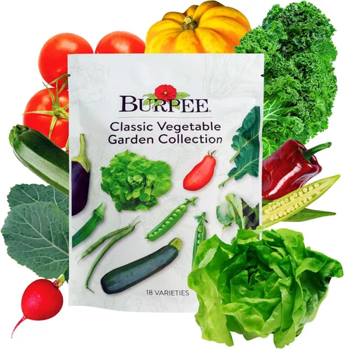 Miniatura 11 de Burpee Culinary Classics Garden Collection - 10 paquetes de cebollino sin OGM, cilantro, albahaca, salvia, tomillo, eneldo, perejil, manzanilla