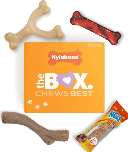Miniatura 13 de Nylabone Caja de Regalo para Cachorros, Incluye 3 Fuertes Juguetes para Masticación de Cachorros y 1 Hueso de Golosina Natural para Cachorros
