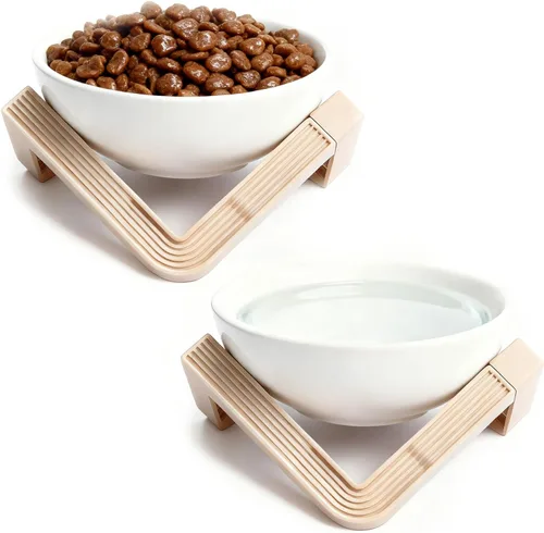 2 cuencos elevados para gatos, platos de cerámica de acero inoxidable de 5.1 pulgadas, para alimentación de mascotas, cuenco de agua inclinado para