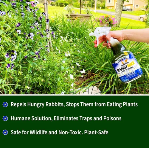 Miniatura 4 de Nature's Mace Spray repelente de conejo listo para usar, para exteriores, aroma a menta, seguro para personas, mascotas y plantas, protege el jardín