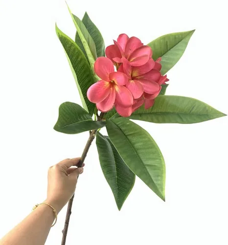 Miniatura 7 de XIYUAN Flores artificiales Frangipani de 35.5 pulgadas, 2 tallos realistas de tacto real, flores de plumeria artificiales para el hogar, fiesta, Rojo