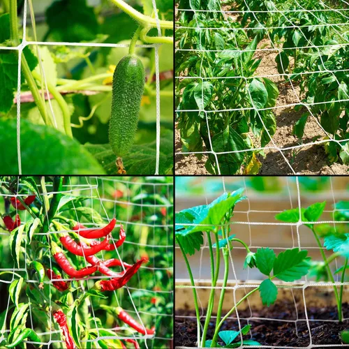Miniatura 7 de Rural365 Red de enrejado de malla para plantas, rollo de 5 x 350 pies, soporte de cultivo de frijoles, guisantes, plantas trepadoras, red de jardín