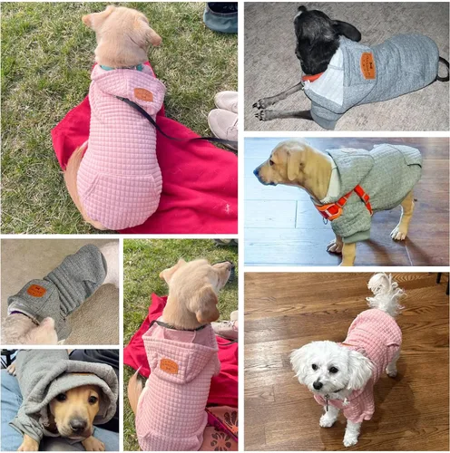 Miniatura 8 de BEAUTYZOO Sudadera con capucha para perro pequeño con bolsillos, ropa para perros pequeños y medianos, niño y niña, abrigos de algodón laminado tipo