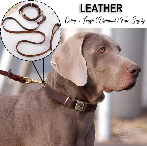 Miniatura 7 de Collar de cuero personalizado para mascotas, collar de perro personalizado con placa de identificación grabable, collar transpirable con hebilla