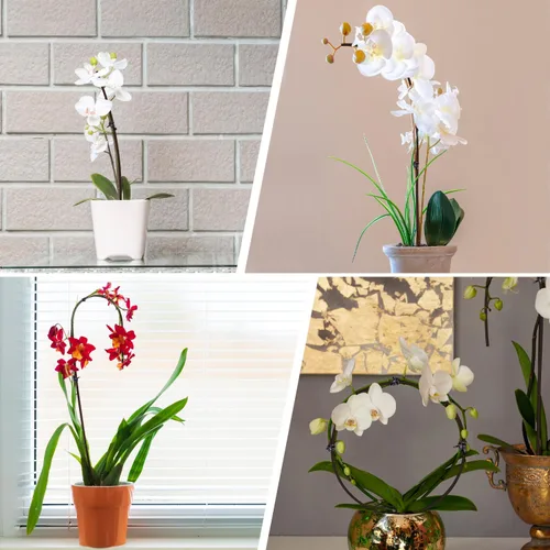 Miniatura 5 de 20 piezas de estacas para plantas, varillas para plantas, estacas de soporte de tallo único marrón para jardín, flexibles, para plantas