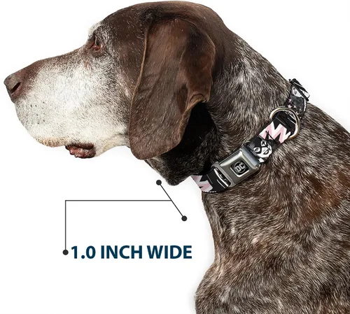 Miniatura 6 de Buckle-Down Collar de perro con hebilla de cinturón de seguridad Batgirl Wonder Woman Supergirl Retro Paneles Negro Rosa Blanco 9 a 15 pulgadas 1.0