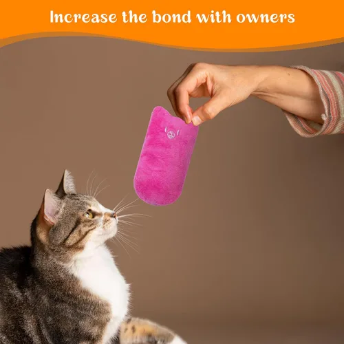 Miniatura 7 de Seyezo Juguetes para gatos de interior, 5 unidades, juguetes esponjosos para jugar, juguetes interactivos para gatitos, juguetes de dentición