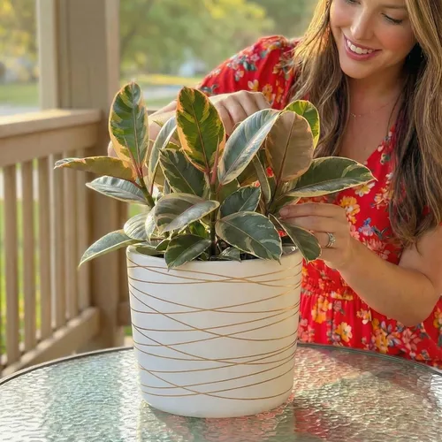 Miniatura 10 de Willowy Maceta de Cerámica Negra de 6 Pulgadas - Macetas de Cerámica Negra de 6 Pulgadas para Plantas como Aloe, Planta de Goma Bebé, Jade, Planta