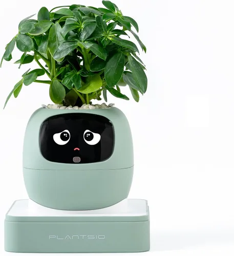 PLANTSIO Plantera inteligente para mascotas con robot de orientación en el cuidado de plantas con emojis, adorable compañero de plantas con rica