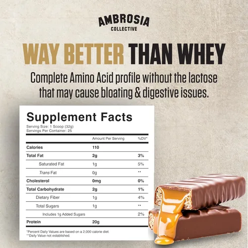 Miniatura 2 de Ambrosia Planta - Polvo de proteína a base de plantas 20g Polvo de proteína vegana sin lácteos con aminoácidos BCAA Apto para dieta cetogénica