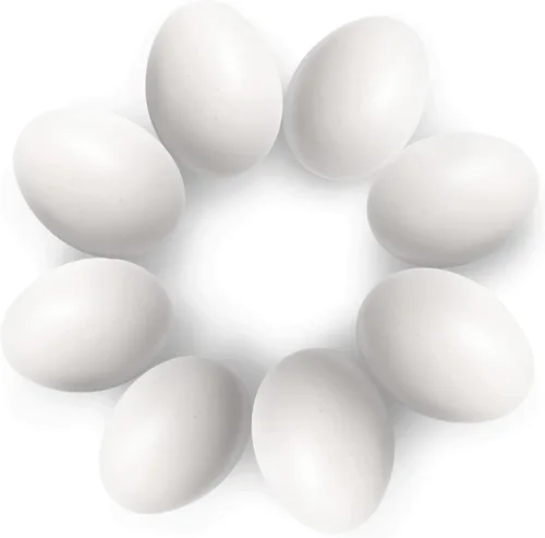 Miniatura 2 de SunGrow Huevos de madera falsos para entrenar a los pájaros de que no se pongan en las cajas de anidación y para dejar de comer sus propios huevos