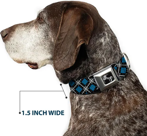 Miniatura 7 de Buckle Down Turquesa/Negro/Gris Argyle Asiento Hebilla de cinturón perro collar, S, Azul