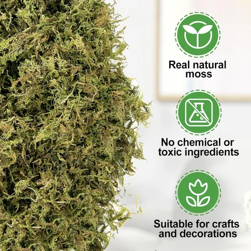 Miniatura 4 de Alphatool Musgo verde natural de 5 onzas para principiantes, musgo de inicio para plantas de interior, jardines de hadas artificiales, mini 5 oz