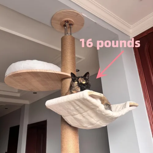 Miniatura 6 de Árboles para gatos de piso a techo para gatitos y gatos grandes con cuerda natural, árbol alto para gatos hasta el techo, altura ajustable de 82-112