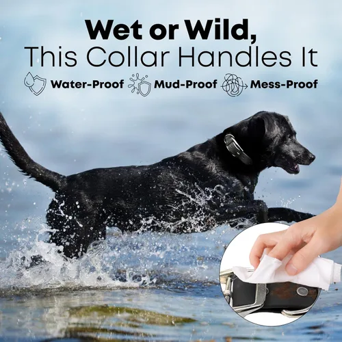 Miniatura 4 de Collar impermeable para perro con anillo central resistente Collar para perros pequeños, medianos, grandes o XL, Negro