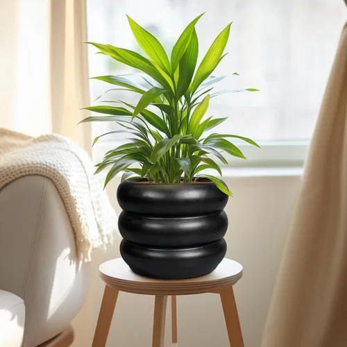 Miniatura 5 de Maceta de cerámica SQOWL para plantas de 8 pulgadas - Maceta de interior con orificio de drenaje para plantas de exterior, maceta floral moderna