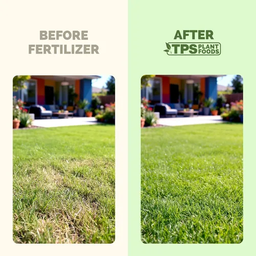 Miniatura 3 de Fertilizante para césped: fertilizante líquido para césped más verde, césped más grueso y desarrollo de raíces más fuerte, 1 galón