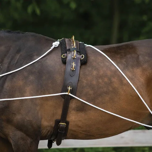 Miniatura 5 de Sistema de entrenamiento europeo avanzado Herramienta de entrenamiento avanzada Mejora el carro de caballos y los auriculares Fomenta