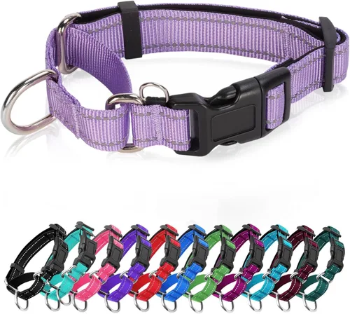 Miniatura 14 de Collares de perro Martingala reflectantes. Collar de perro con hebilla de liberación rápida. Collar ajustable de nailon transpirable acolchado suave