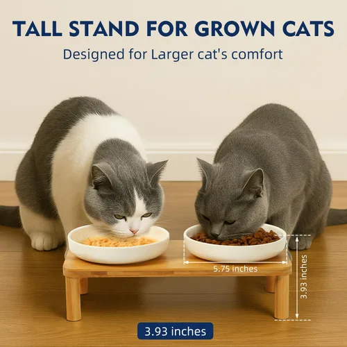 Miniatura 2 de DoogCat Cuencos elevados para gatos de interior – Mesa elevada de bambú para gatos con 2 platos de cerámica, altura ajustable