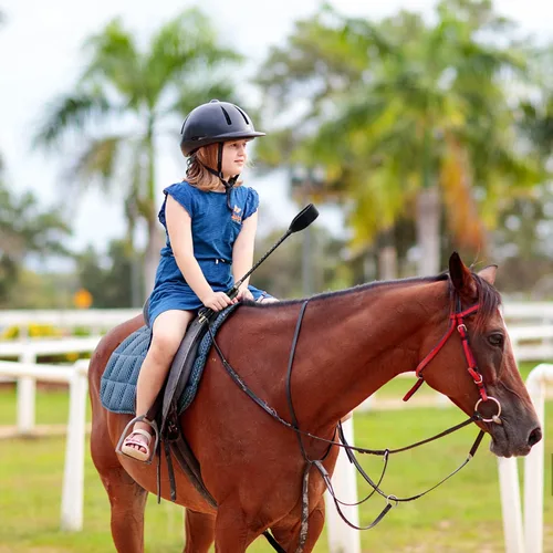 Miniatura 8 de Keedolla Cultivo inglés de 18 pulgadas con correa para la muñeca, látigo de caballo para equitación, bate ecuestre para entrenamiento, torneo