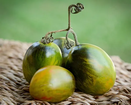 Miniatura 2 de Semillas de tomate de uva atómica prémium para plantar paquete