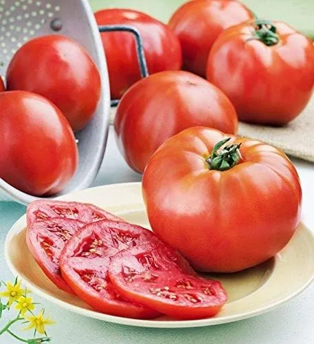 Miniatura 3 de Semillas de tomate híbridas Phoenix, tipo arbusto rara vez necesita replanteo (10 - semillas)
