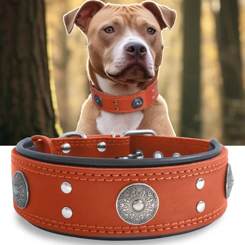 Miniatura 14 de Collar de cuero para perro, 2 pulgadas de ancho, collares de cuero genuino resistente, hecho a mano, suave y lujoso, la mejor opción llamativa