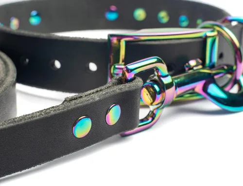 Miniatura 3 de Collar de perro de cuero con brida hecha a mano, grabado arco iris de acero inoxidable (negro)
