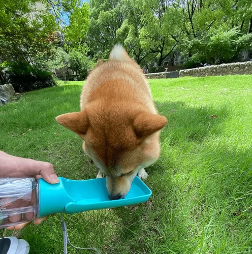 Miniatura 6 de WePet Botella de agua plegable portátil para perros, dispensador de agua para cachorros con alimentador para beber, 12 onzas, resistente a altas