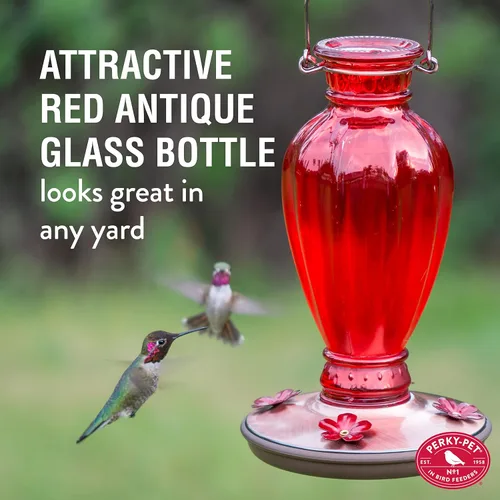 Miniatura 3 de Vasija clásica de vidrio alimentadora de colibríes Perky Pet Daisy , Rojo