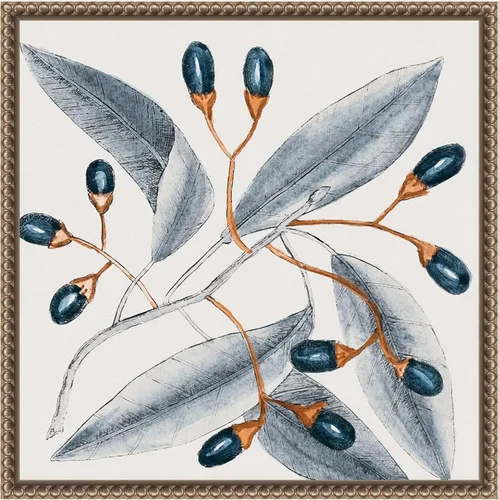 Amanti Art Lienzo enmarcado para pared, 16 x 16 pulgadas, diseño vintage azul botánico I de Andrea Haase, lienzo enmarcado para decoración de pared,