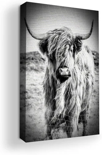 Miniatura 63 de Mavis Print - Lienzo decorativo para pared con diseño de conejo/conejo, 36 x 36 pulgadas, decoración de pared de animales impresos en HD y marco