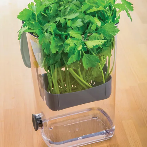 Miniatura 9 de ProKeeper Herb Keeper - Blanco, con tapón de drenaje de silicona extraíble, plástico sin BPA