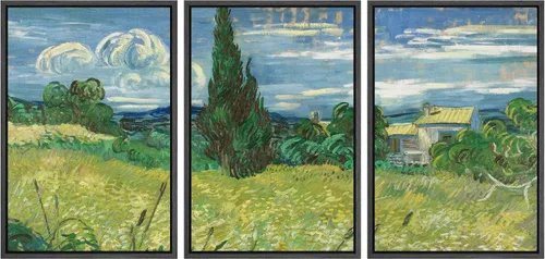 Miniatura 156 de Lienzo decorativo para pared - cuadro con estampado Giclée para decoración del hogar Noche estrellada sobre el Ródano