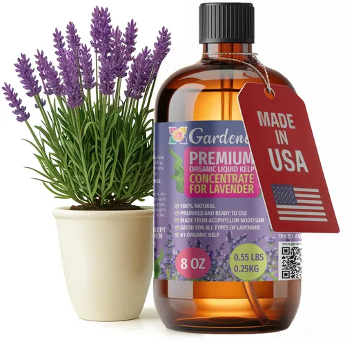 Miniatura 59 de GARDENERA Superalimento orgánico prémium de algas marinas y algas marinas para plantas AGLAONEMA, 8 onzas, concentrado de fertilizante líquido